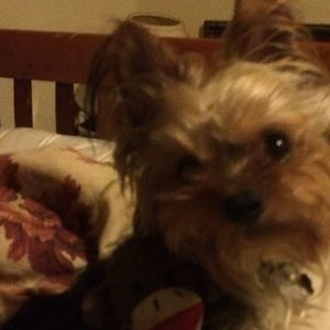 Meet your Posher, Marnie